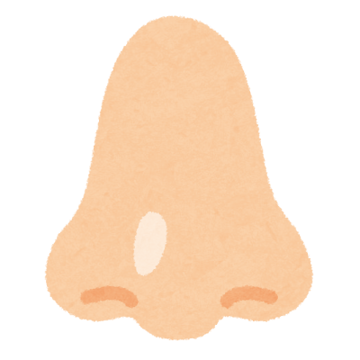 鼻のアップ